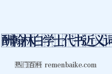 酬翰林白学士代书近义词是什么意思的图片